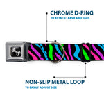 Dog Bone Seatbelt Buckle Collar - Zebra Black/Blue/Green/Pink/Purple