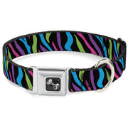 Dog Bone Seatbelt Buckle Collar - Zebra Black/Blue/Green/Pink/Purple