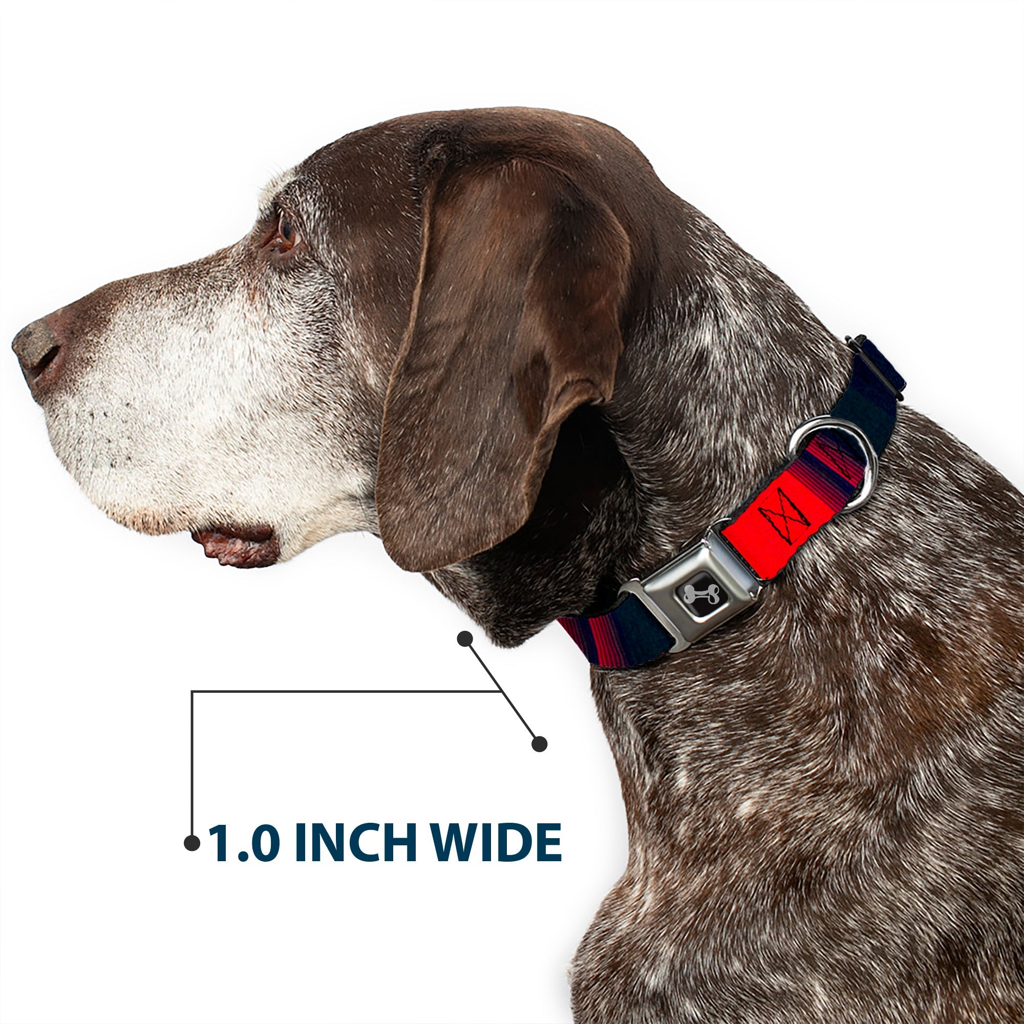 Dog Bone Seatbelt Buckle Collar - Zarape4 Vertical Rasta