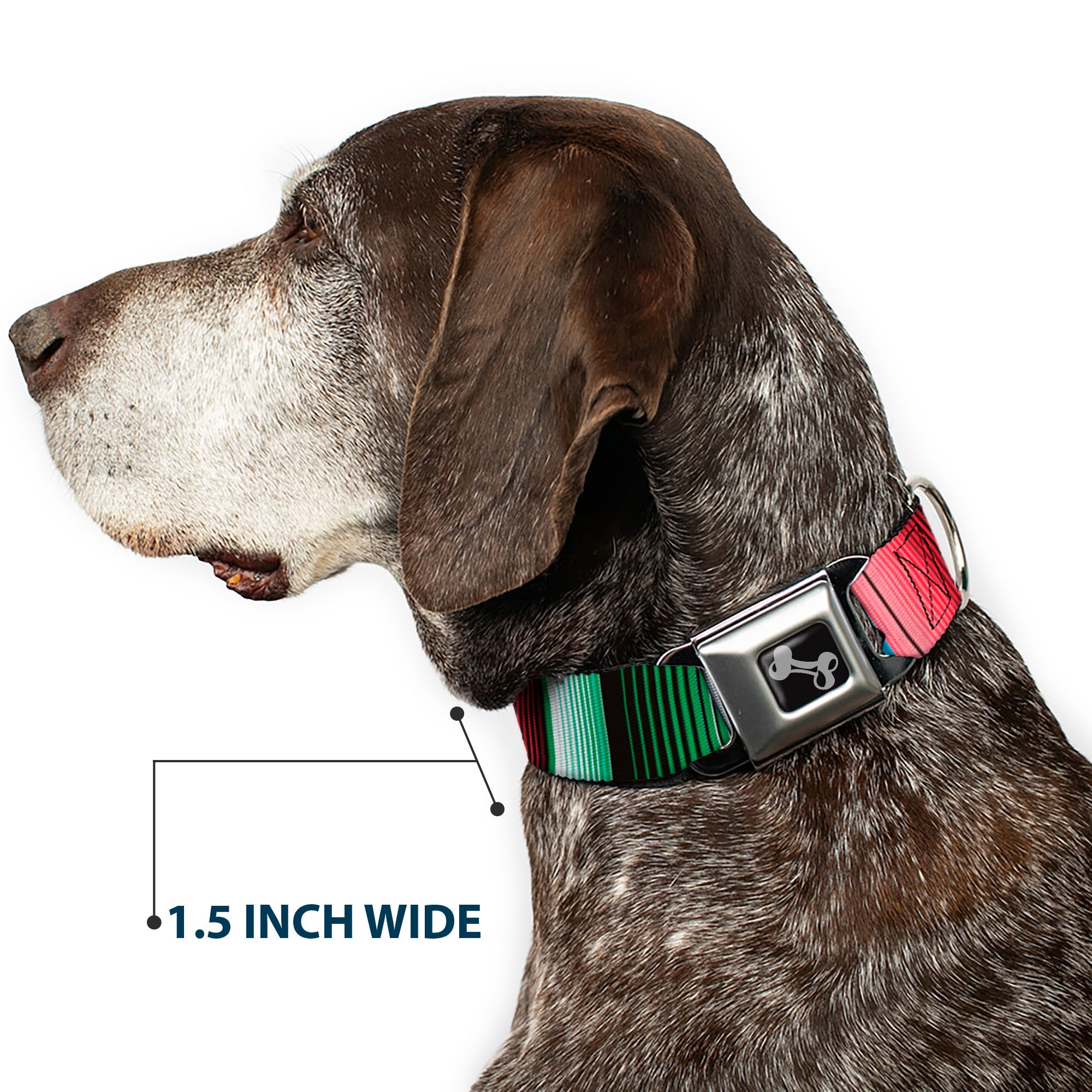 Dog Bone Seatbelt Buckle Collar - Zarape5 Vertical Multi Color Stripe