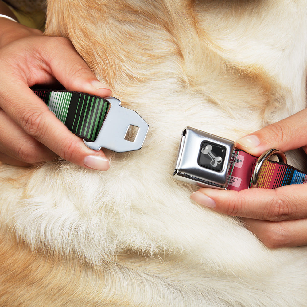Dog Bone Seatbelt Buckle Collar - Zarape5 Vertical Multi Color Stripe