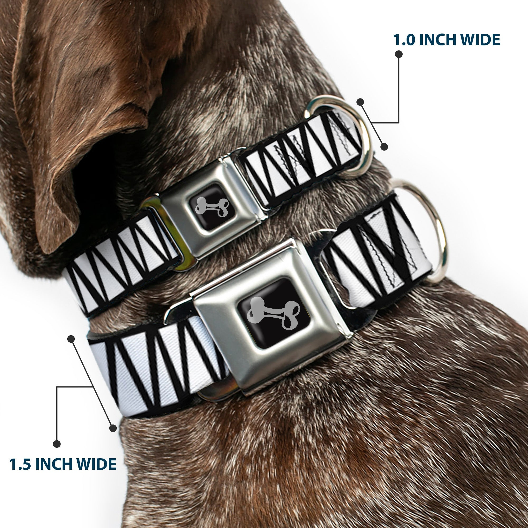 Dog Bone Seatbelt Buckle Collar - Zig Zag Doodle Black/White