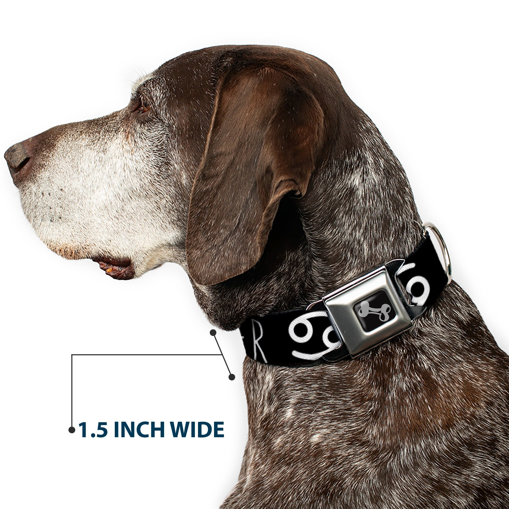 Dog Bone Seatbelt Buckle Collar - Zodiac CANCER/Symbol Black/White