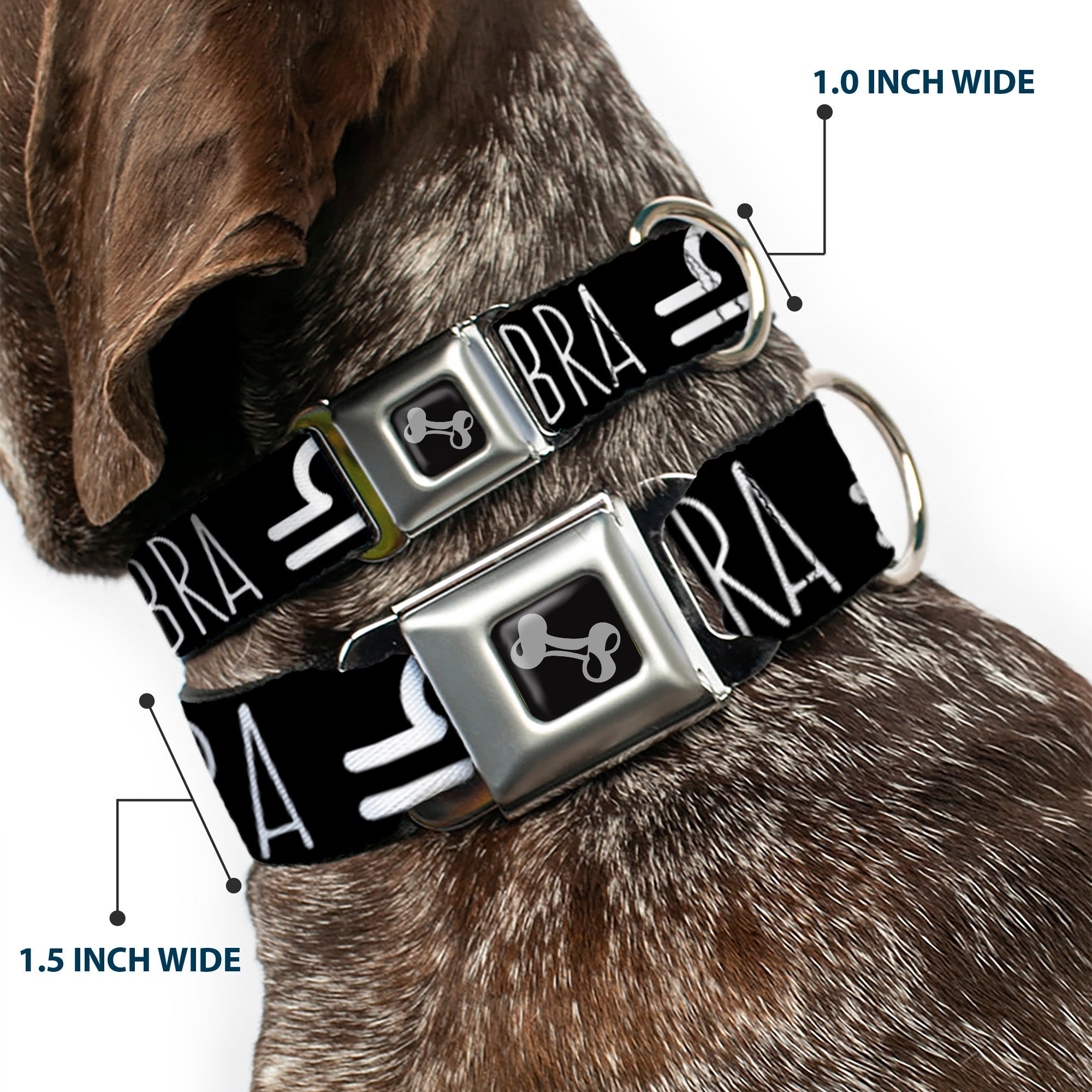 Dog Bone Seatbelt Buckle Collar - Zodiac LIBRA/Symbol Black/White