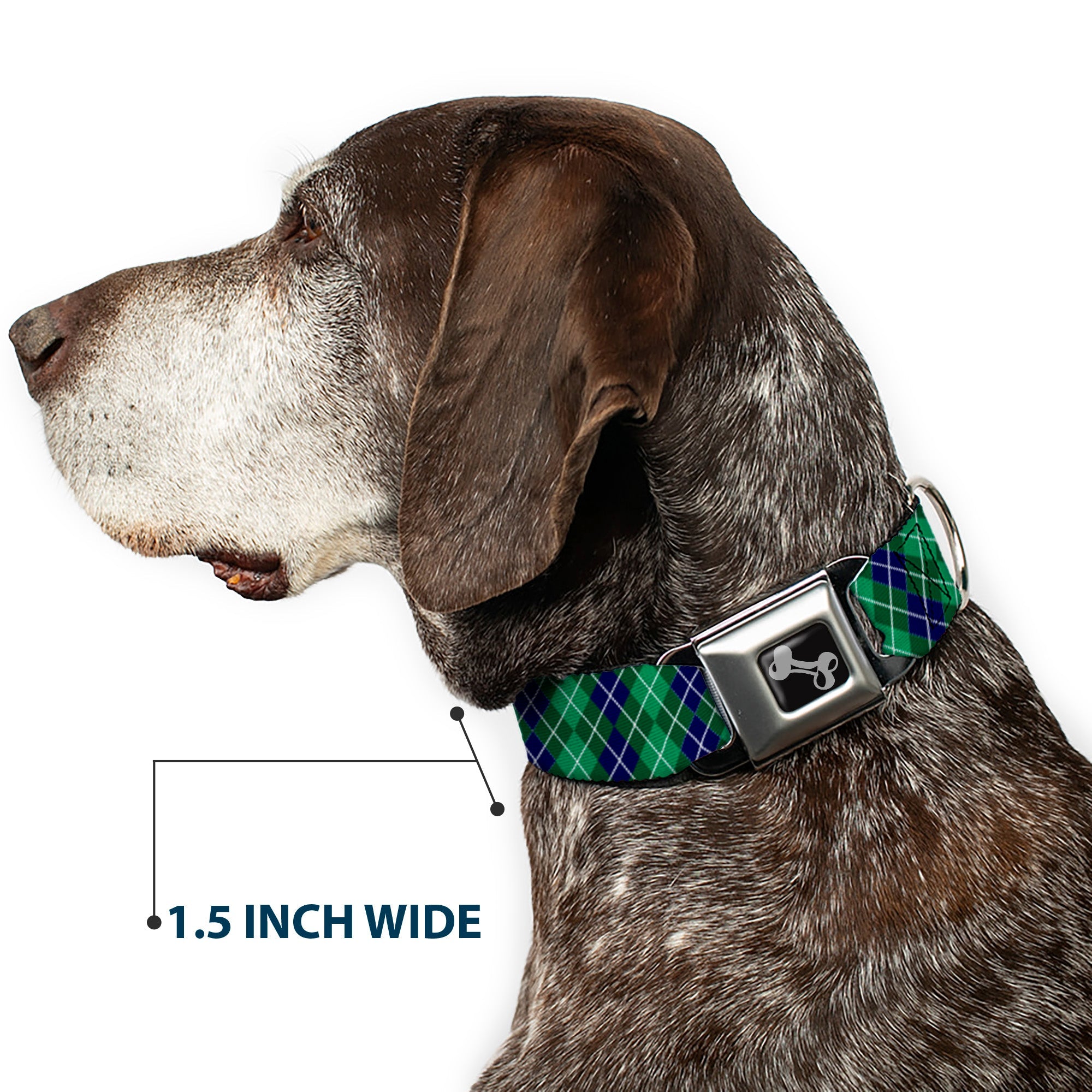 Dog Bone Black/Silver Seatbelt Buckle Collar - Argyle Green/Navy/Green/White