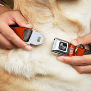 Dog Bone Seatbelt Buckle Collar - Brown Bear Repeat Orange