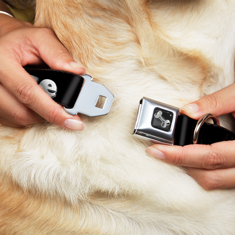 Buckle-Down Seatbelt Buckle Dog Collar - BITCH PLEASE Black/White