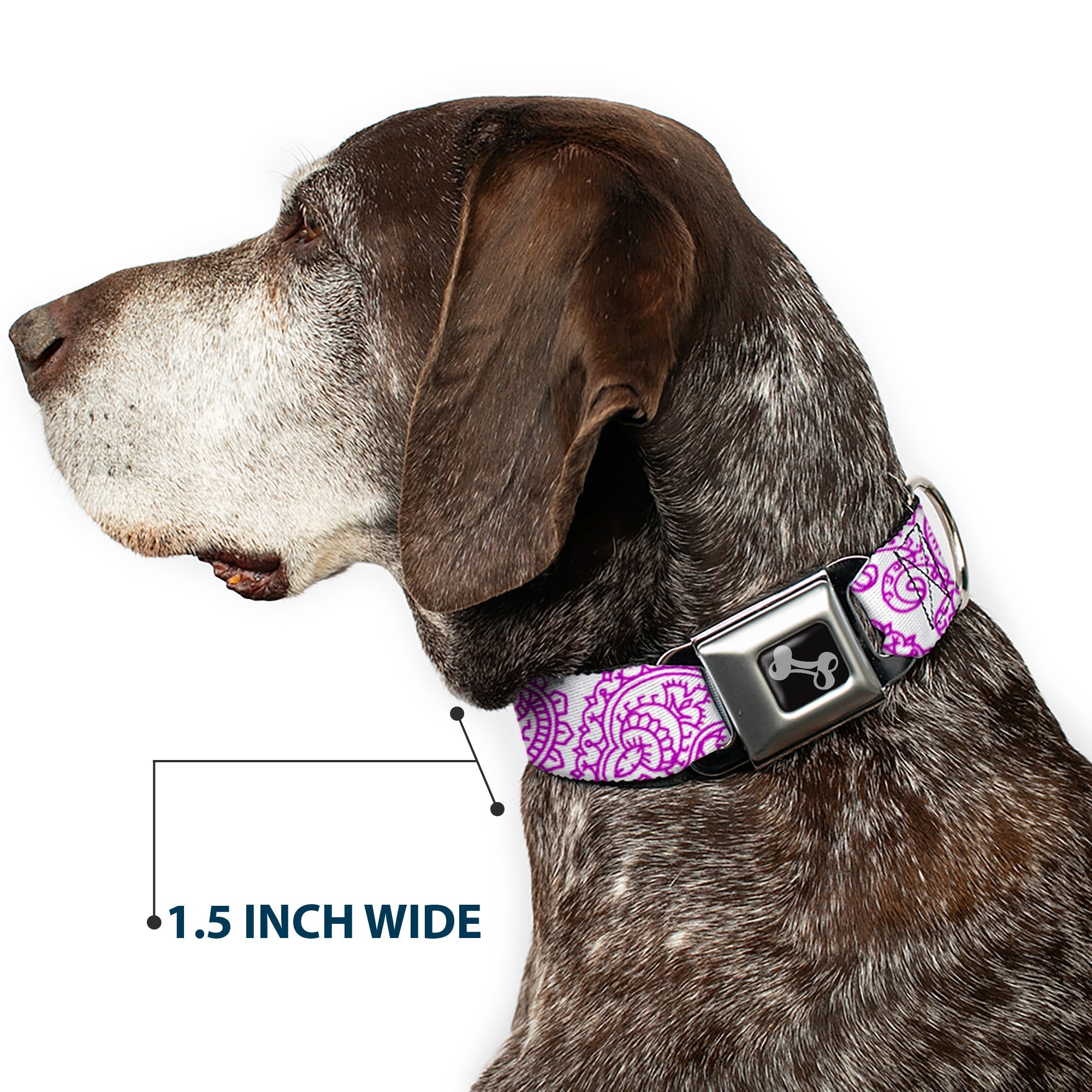 Dog Bone Seatbelt Buckle Collar - Bandana/Skulls White/Purple
