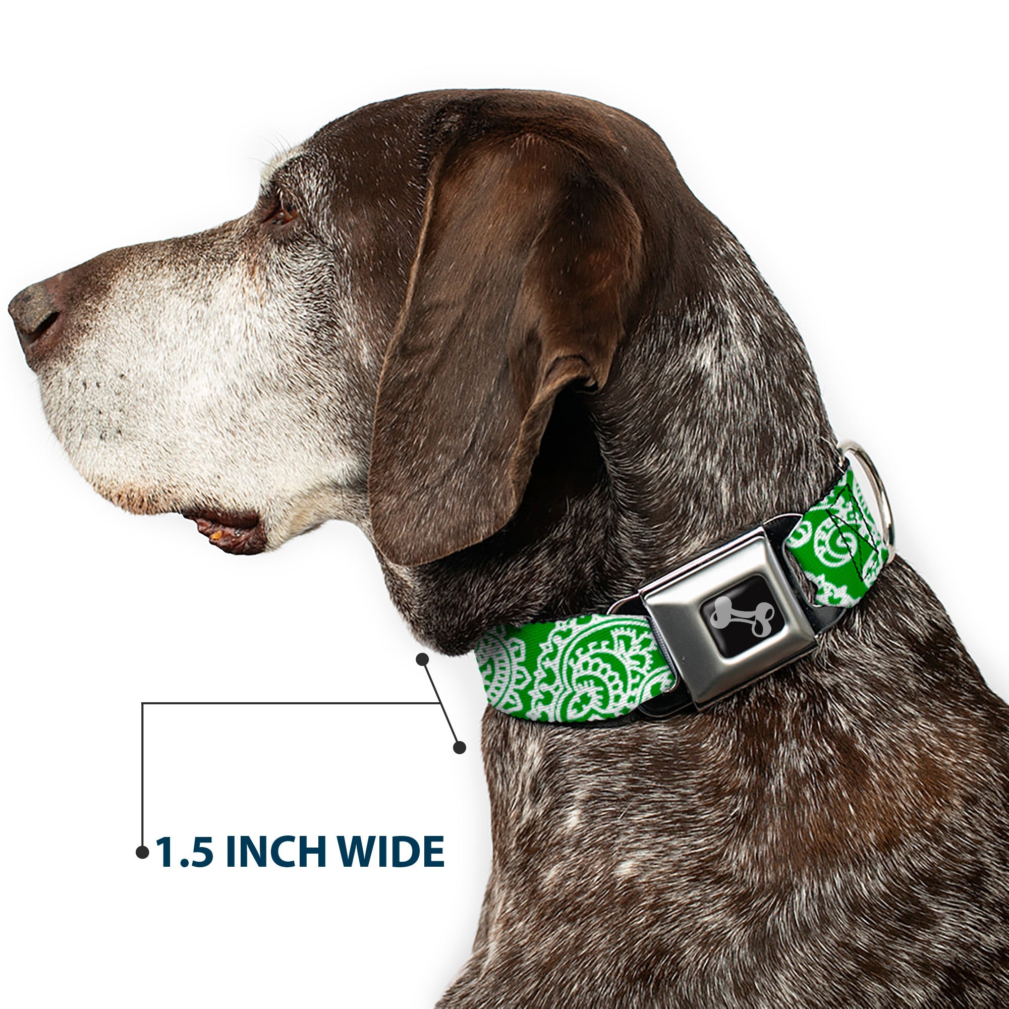 Dog Bone Seatbelt Buckle Collar - Bandana/Skulls Irish Green/White