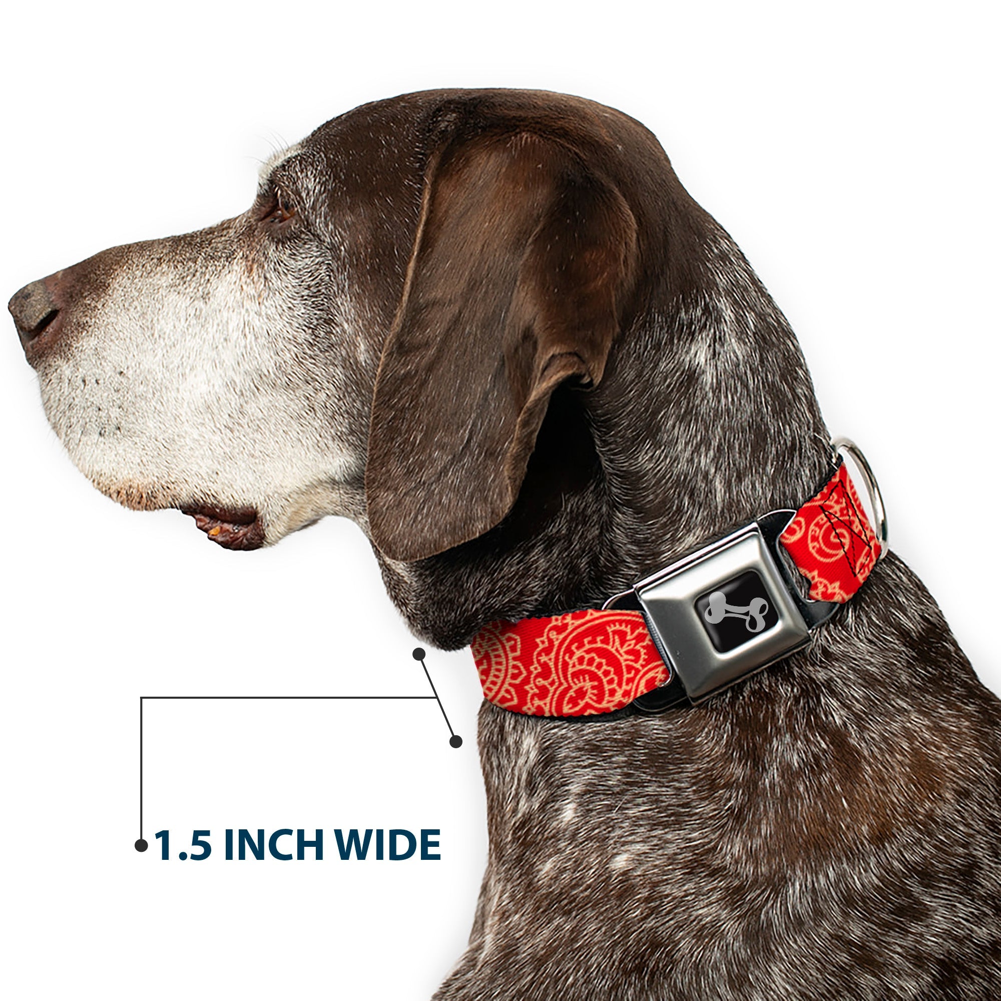 Dog Bone Seatbelt Buckle Collar - Bandana/Skulls Scarlet Red/Gold