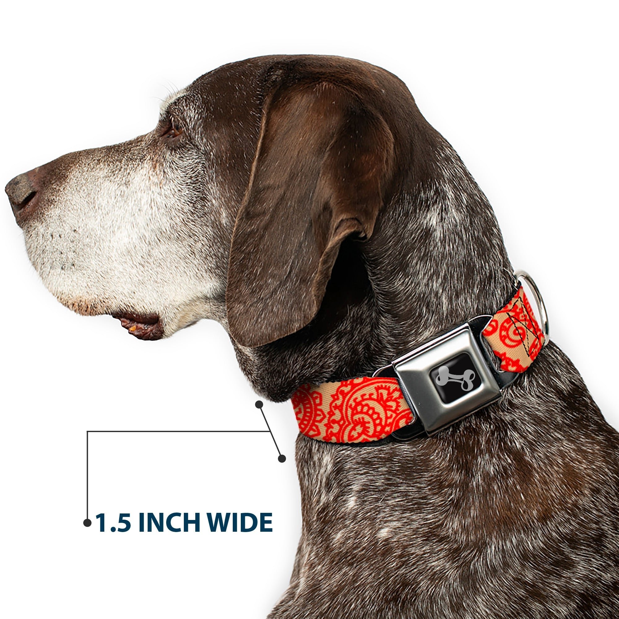 Dog Bone Seatbelt Buckle Collar - Bandana/Skulls Gold/Scarlet Red