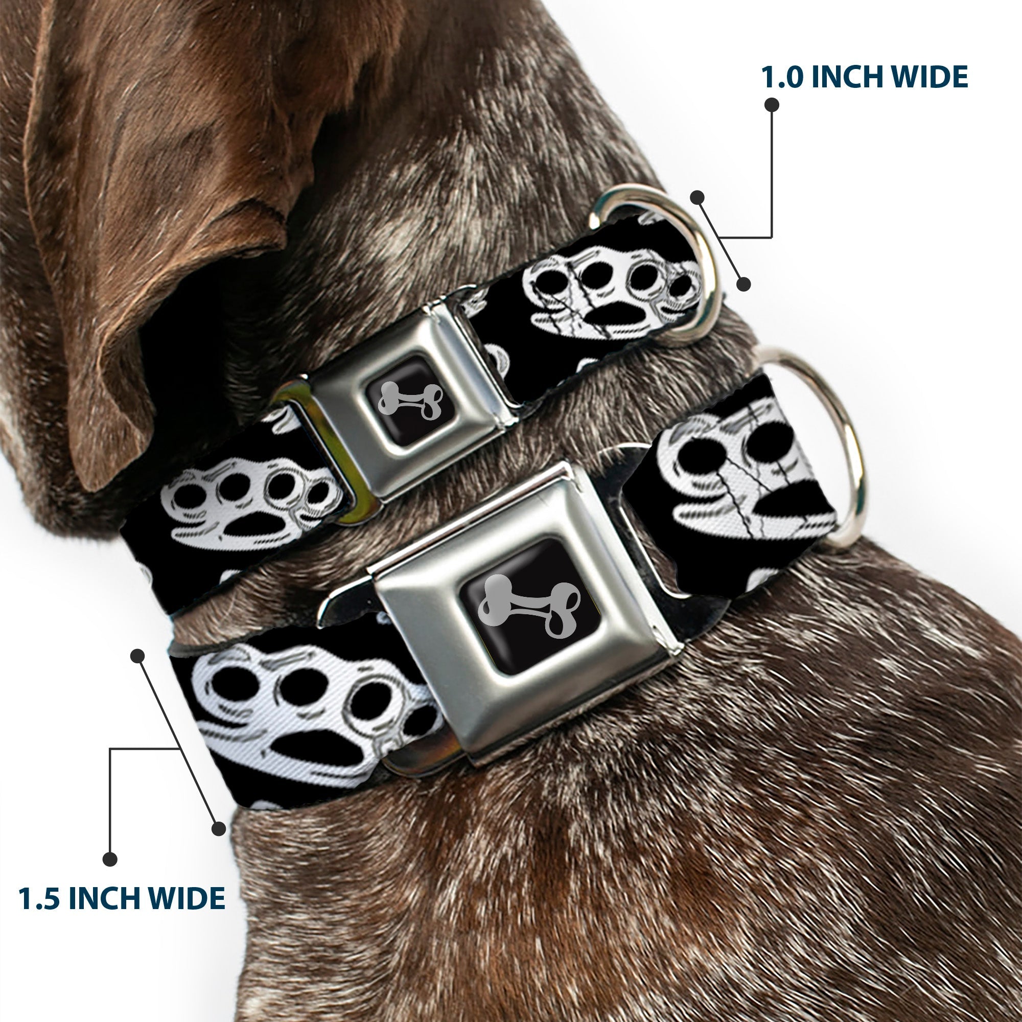 Buckle-Down Seatbelt Buckle Dog Collar - Brass Knuckles Black/White