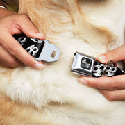 Buckle-Down Seatbelt Buckle Dog Collar - Brass Knuckles Black/White
