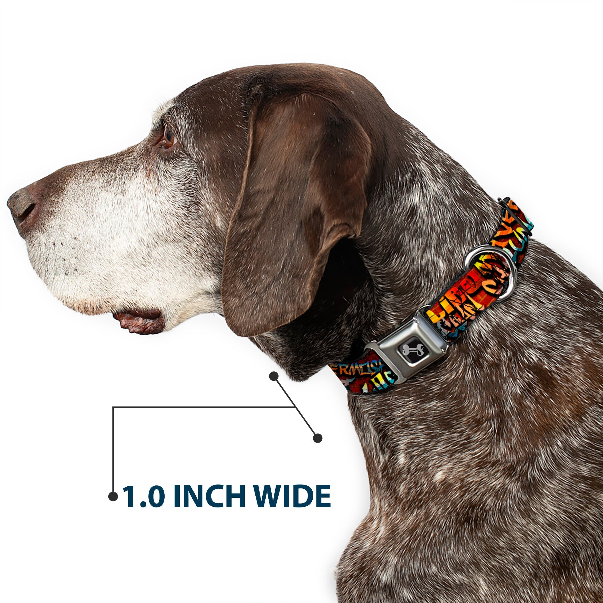 Dog Bone Seatbelt Buckle Collar - Beach Tags Stacked Brick Wall/Beach Scenes