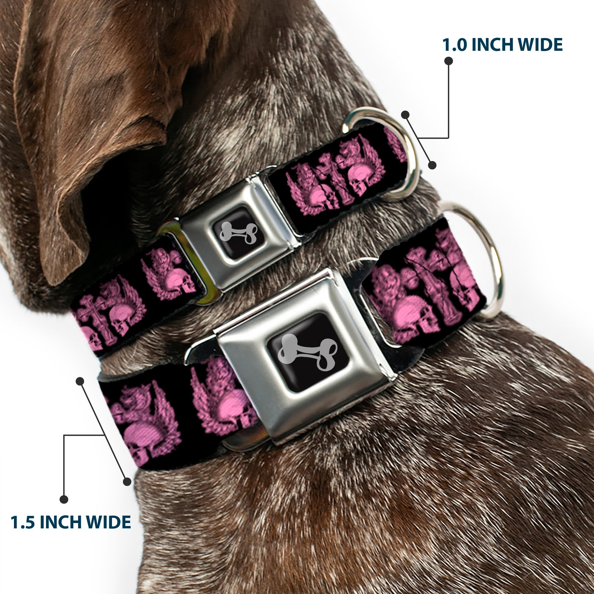 Dog Bone Seatbelt Buckle Collar - BD Skulls w/Wings Black/Pink