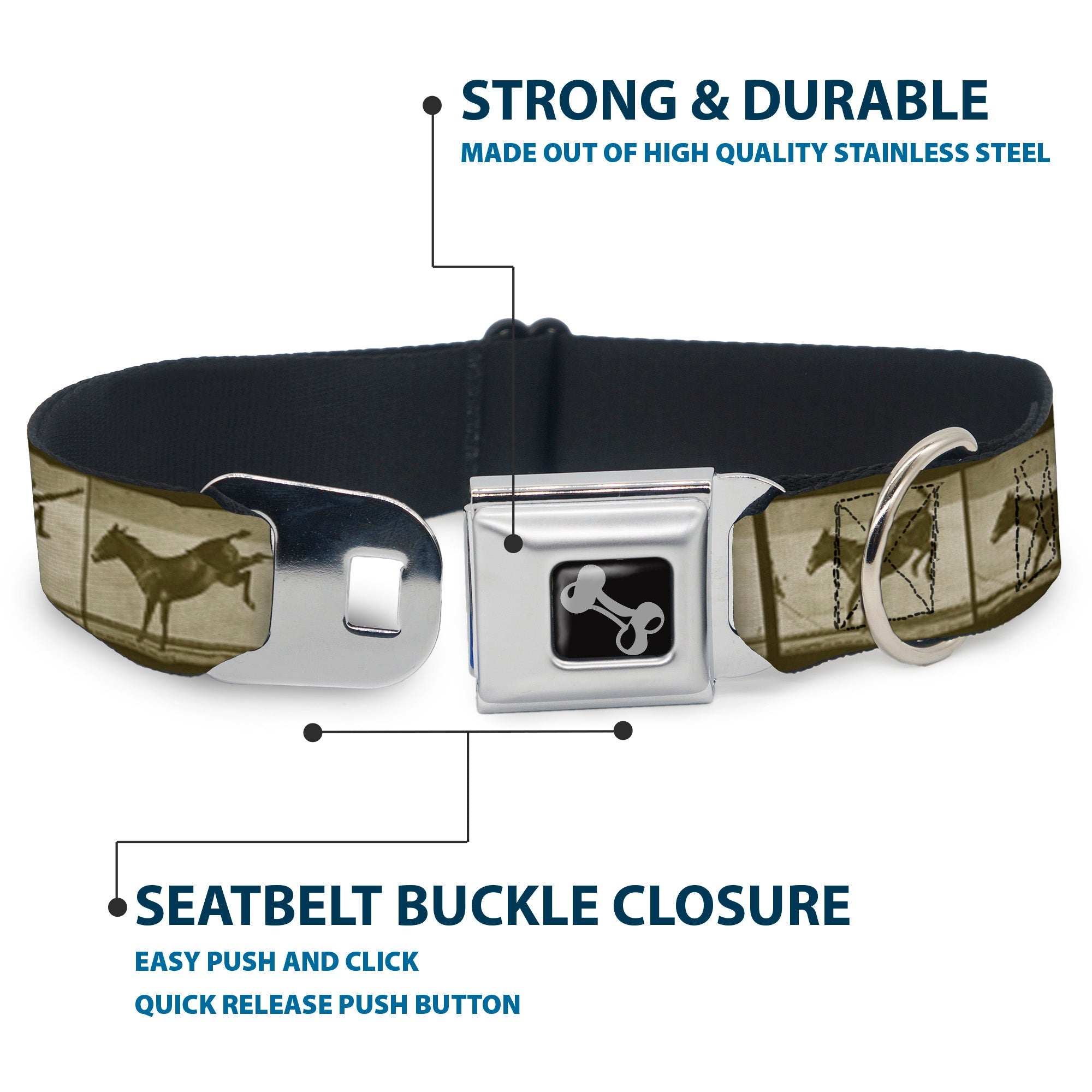 Dog Bone Seatbelt Buckle Collar - Bucking Donkey Vintage Film Strip