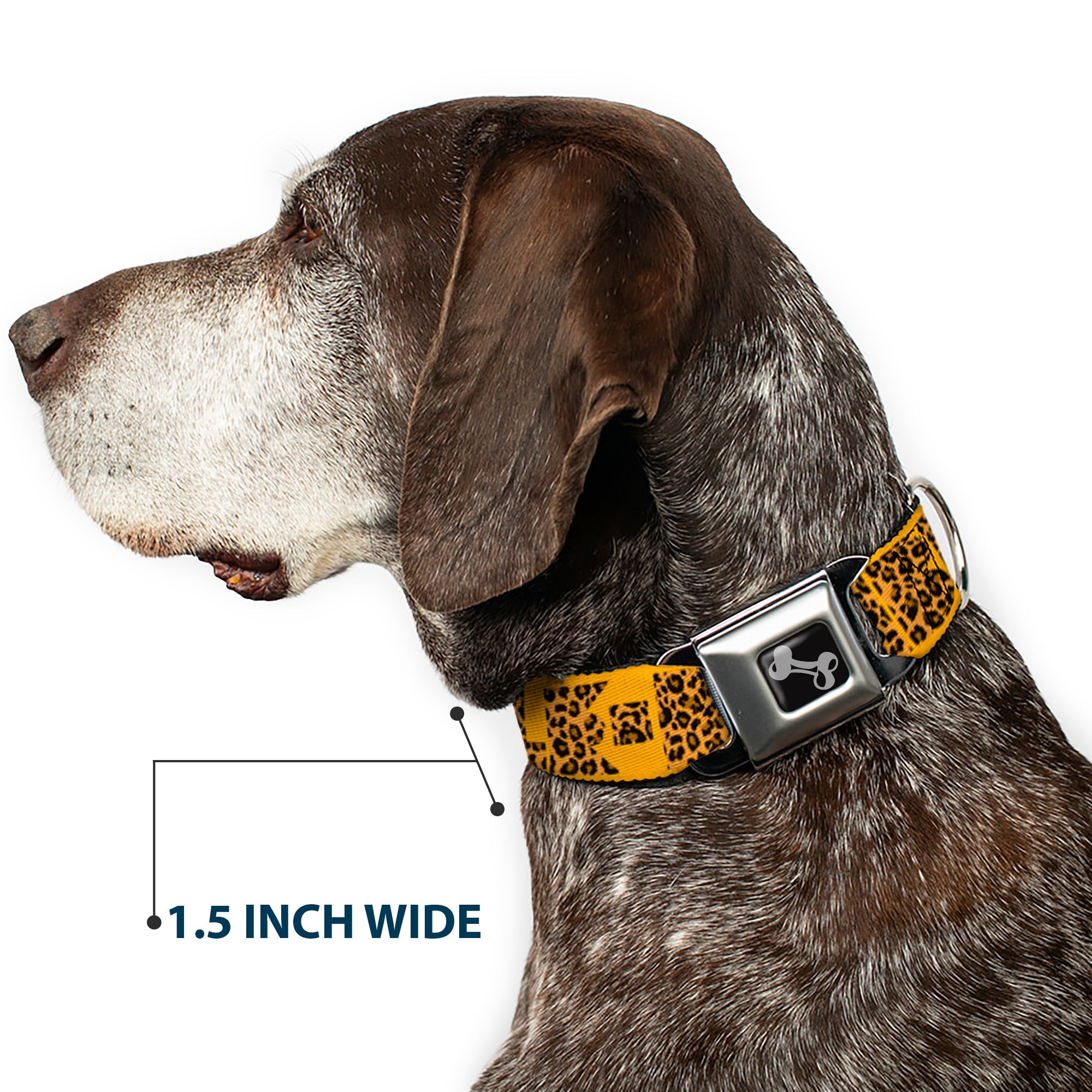 Dog Bone Seatbelt Buckle Collar - BUCKLE-DOWN Shapes Gold/Leopard Brown