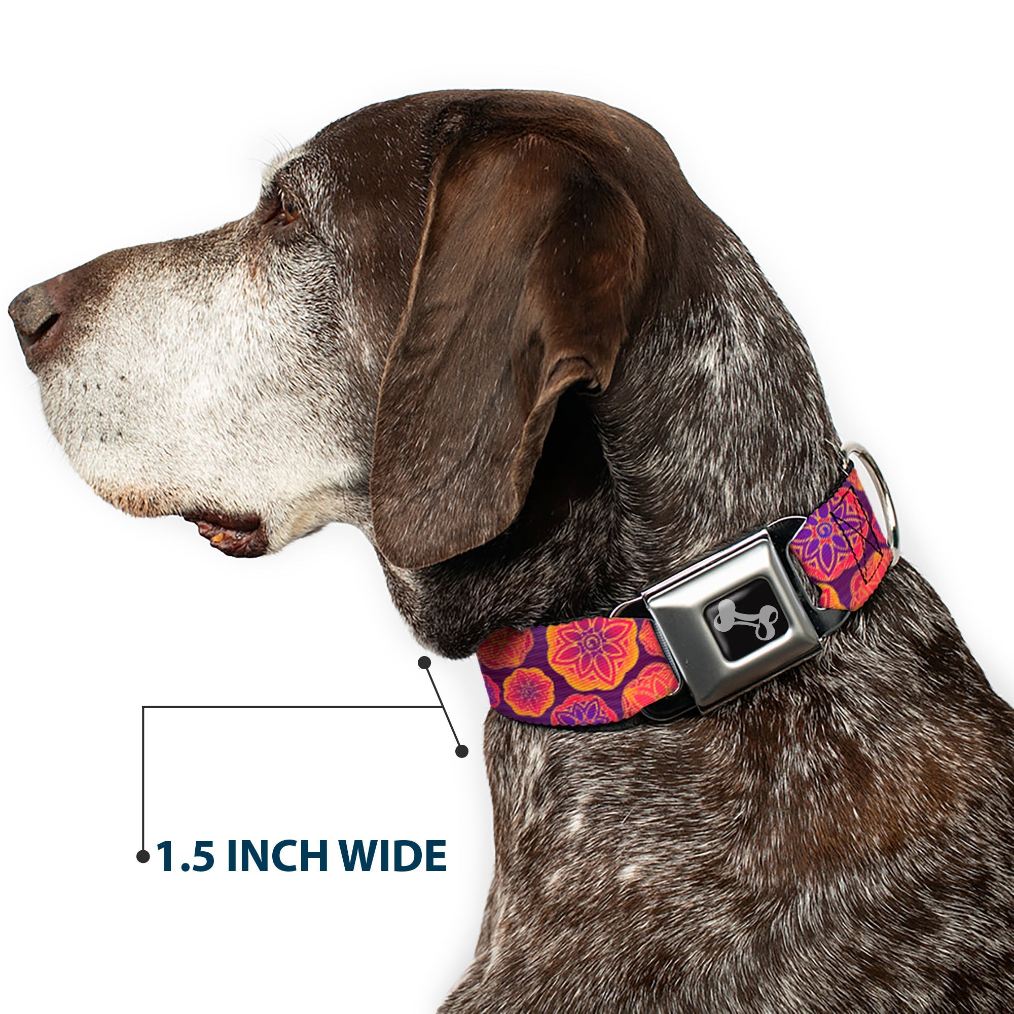 Dog Bone Seatbelt Buckle Collar - Boho Mandala Purples/Oranges/Pinks