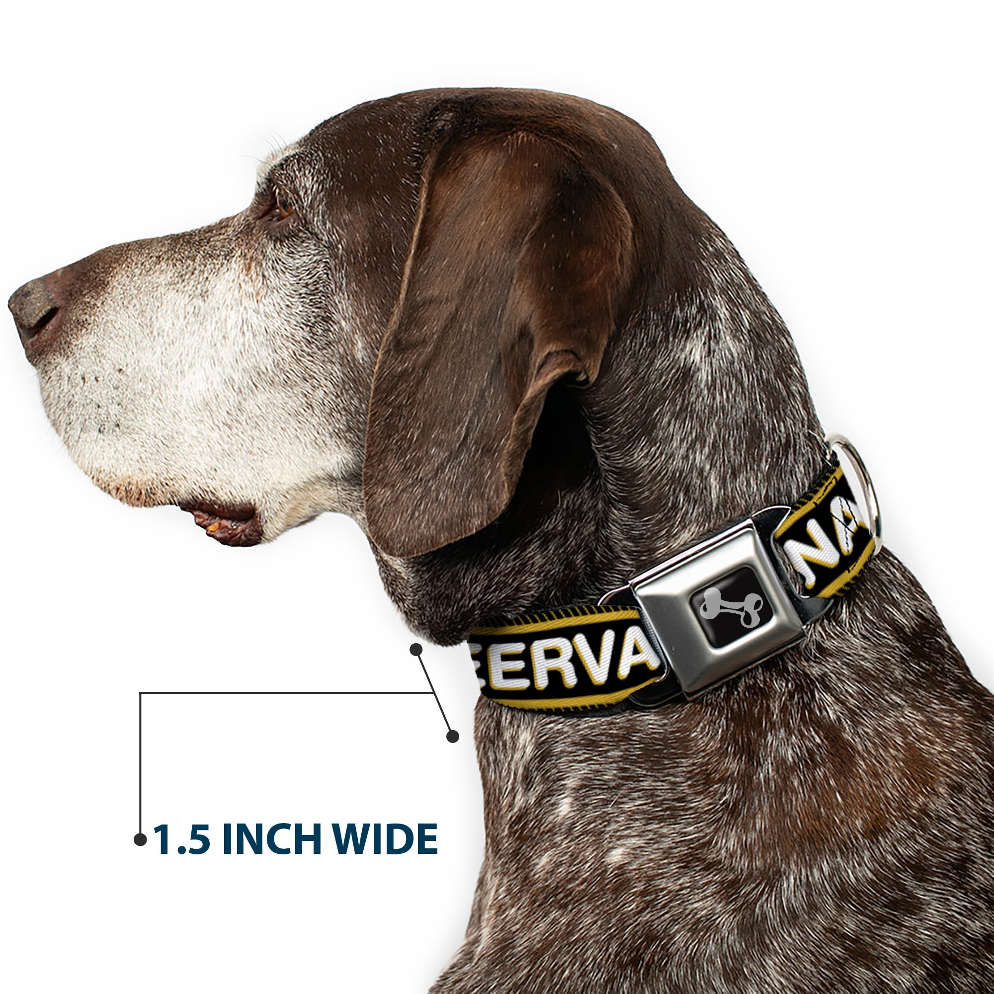 Buckle-Down Seatbelt Buckle Dog Collar - Beer Pint/BEERVANA Rays/Waves Black/Olive