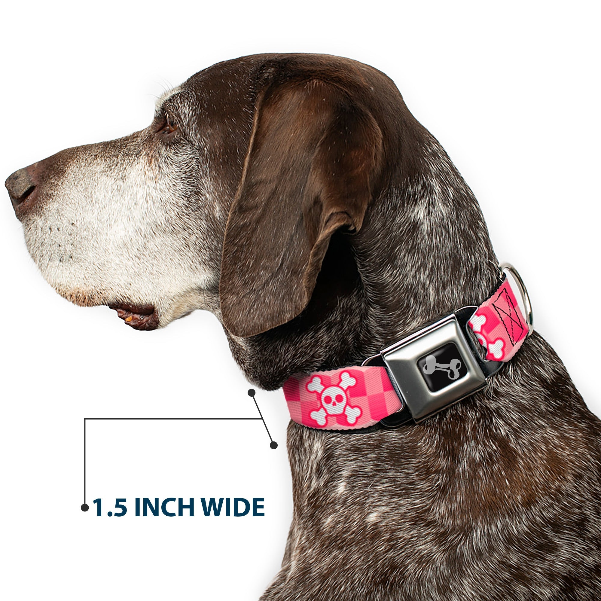 Dog Bone Seatbelt Buckle Collar - Cute Skulls w/Checkers Pinks/White