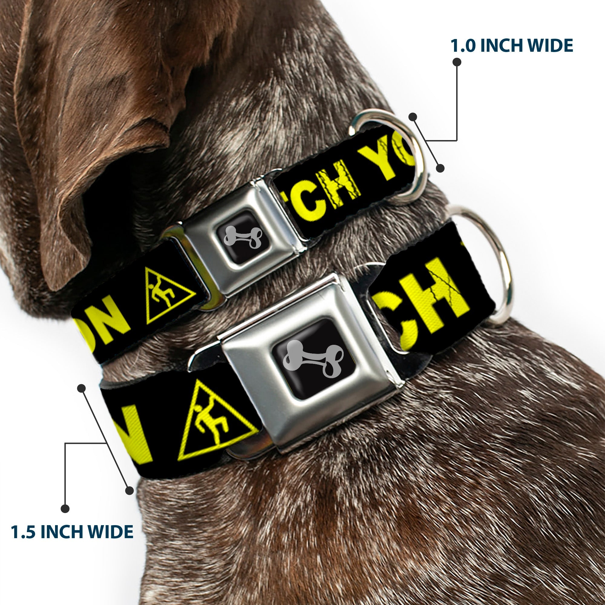 Dog Bone Seatbelt Buckle Collar - CAUTION WATCH YOUR DUBSTEP Black/Yellow