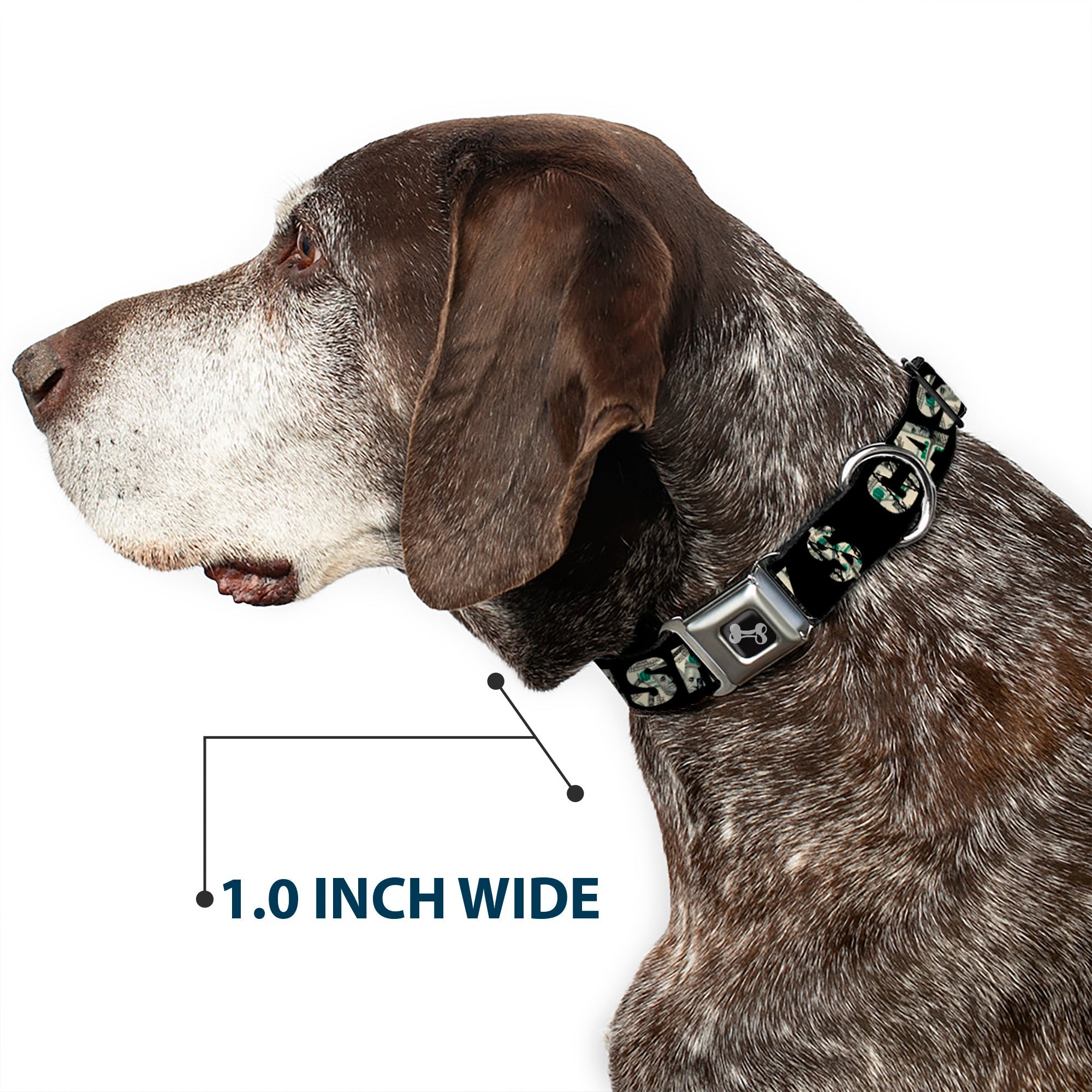 Dog Bone Seatbelt Buckle Collar - CASH MONEY $ Black/Dollars