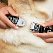 Dog Bone Seatbelt Buckle Collar - CASH MONEY $ Black/Dollars