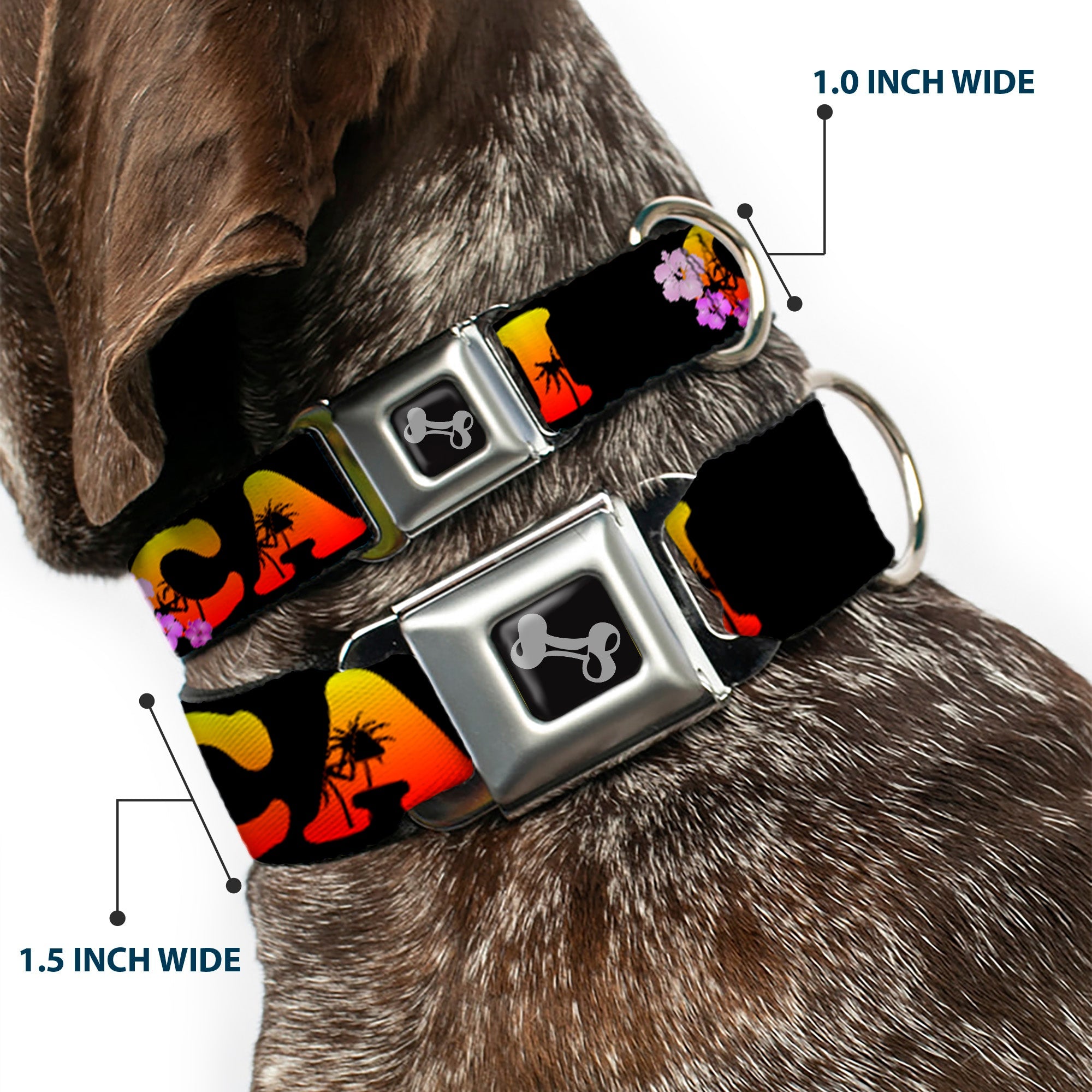 Dog Bone Seatbelt Buckle Collar - CALI Tropical Black/Multi Color