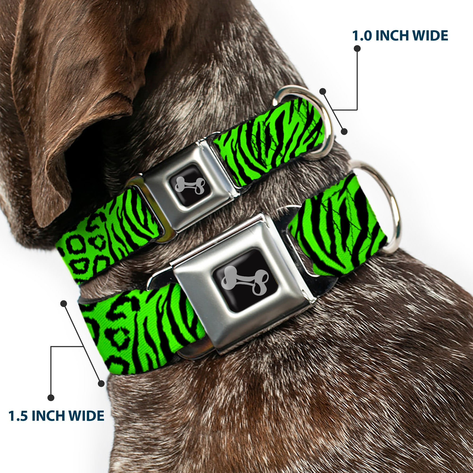 Dog Bone Seatbelt Buckle Collar - Cheebra Green/Black