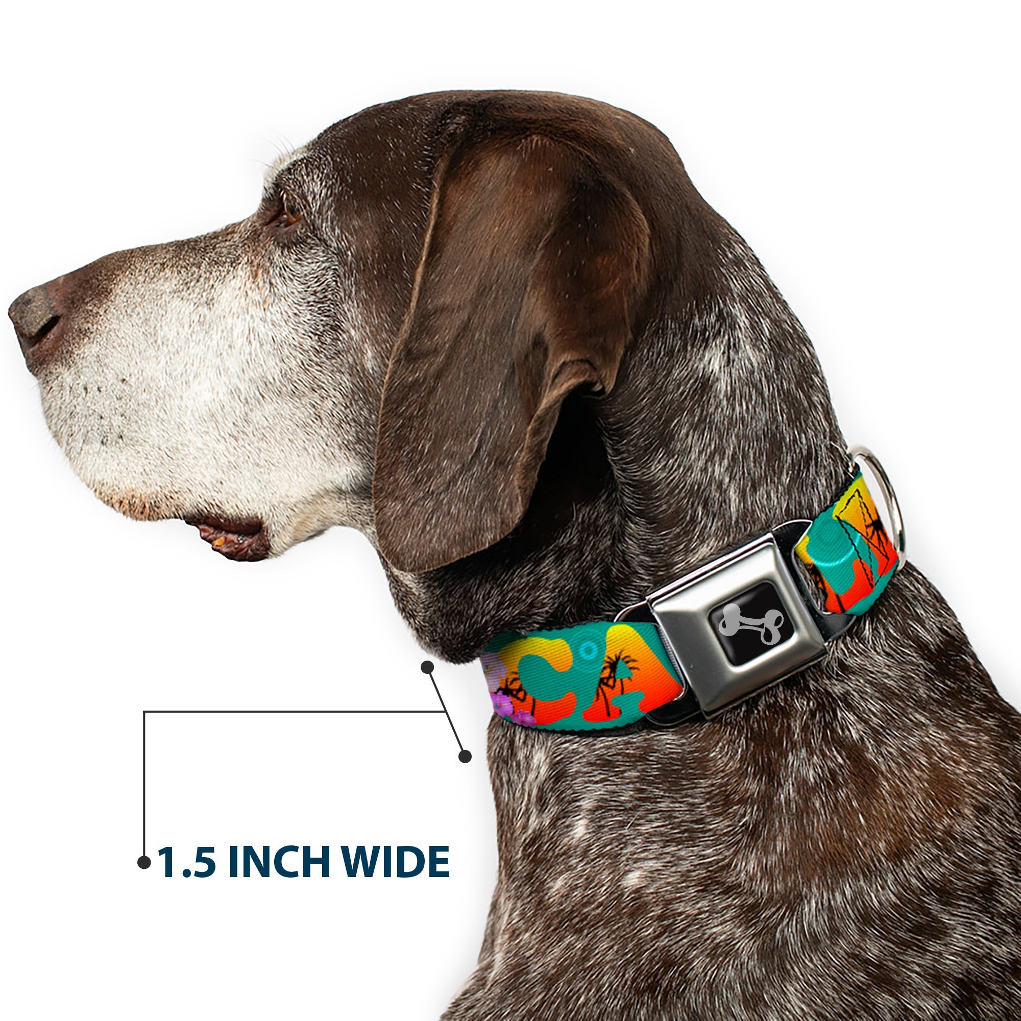 Dog Bone Seatbelt Buckle Collar - CALI Tropical Aqua/Multi Color