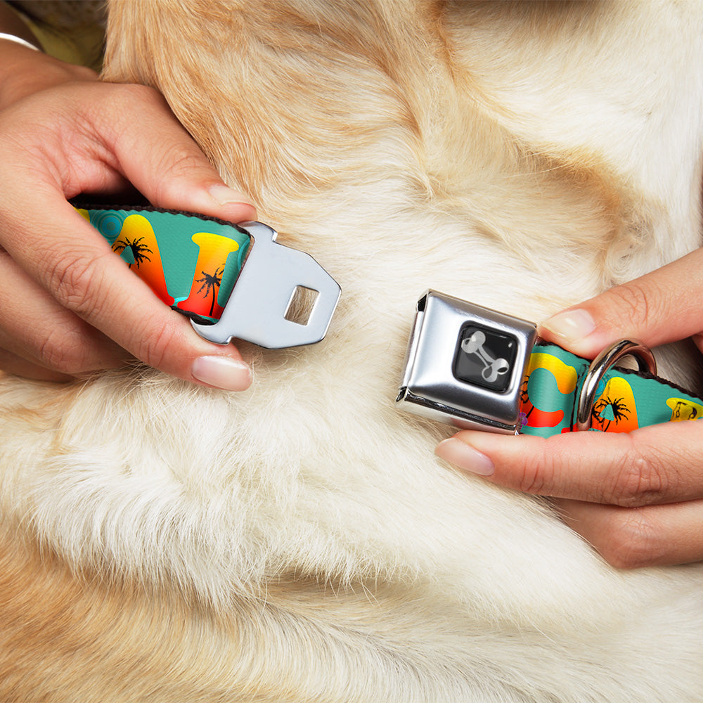 Dog Bone Seatbelt Buckle Collar - CALI Tropical Aqua/Multi Color