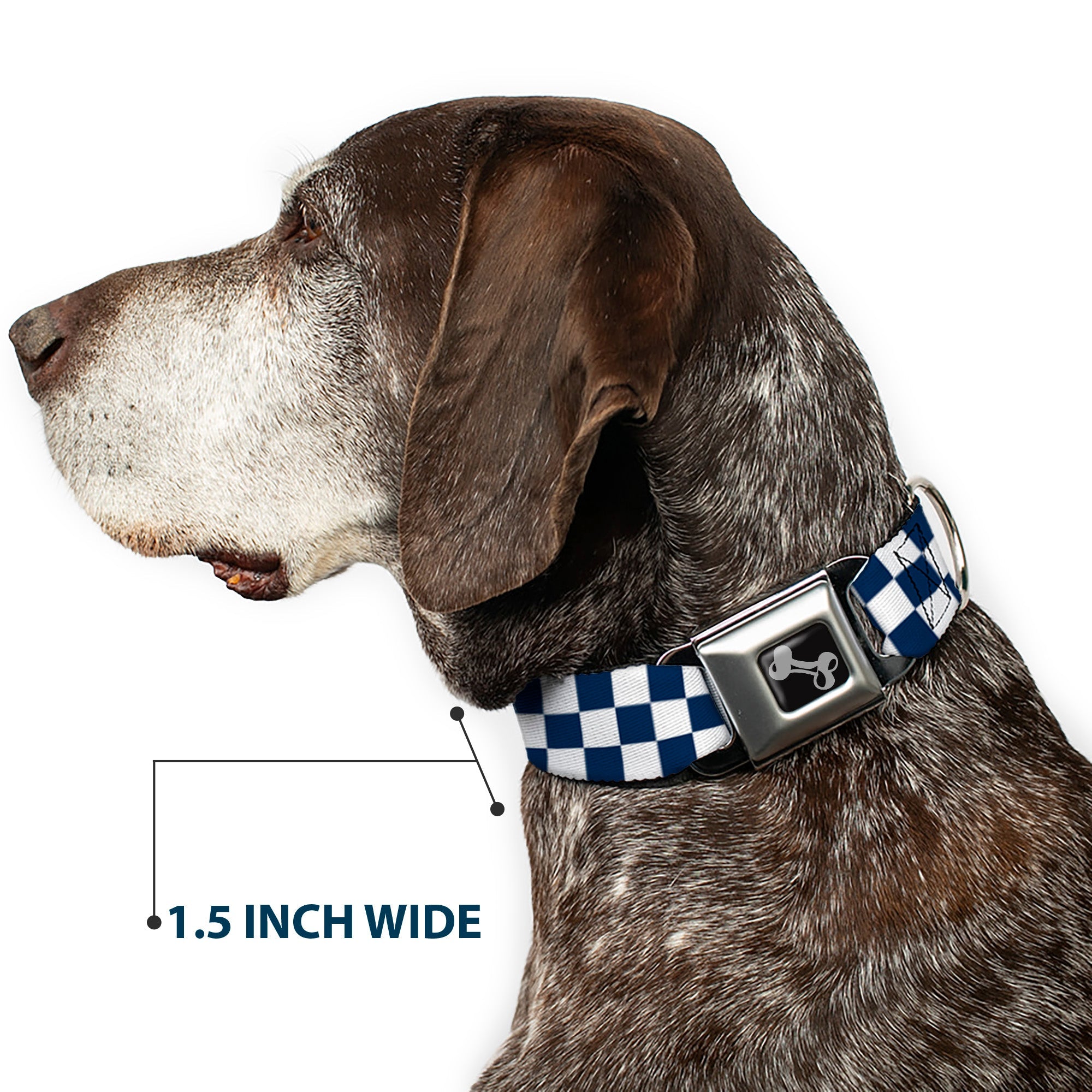 Dog Bone Seatbelt Buckle Collar - Checker Sapphire Blue/White