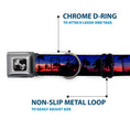Load image into Gallery viewer, Dog Bone Seatbelt Buckle Collar - California Sunset
