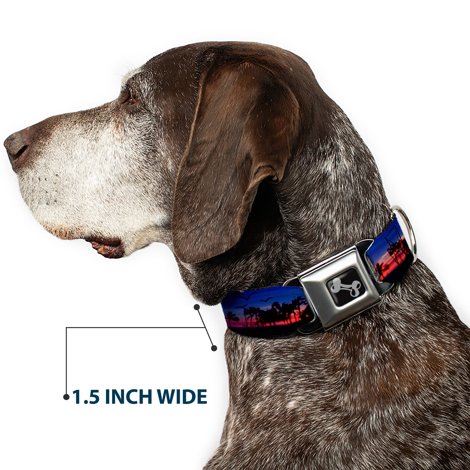 Dog Bone Seatbelt Buckle Collar - California Sunset