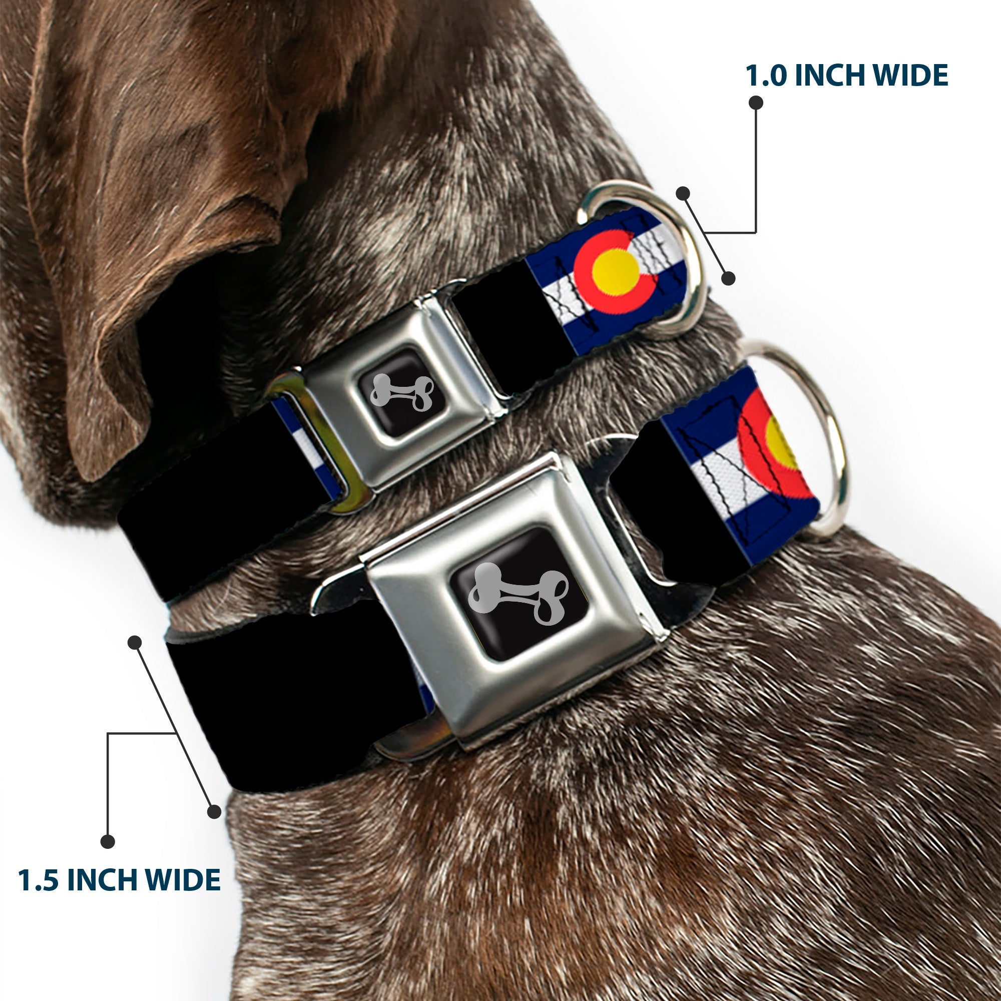 Dog Bone Seatbelt Buckle Collar - Colorado Flags3/Black