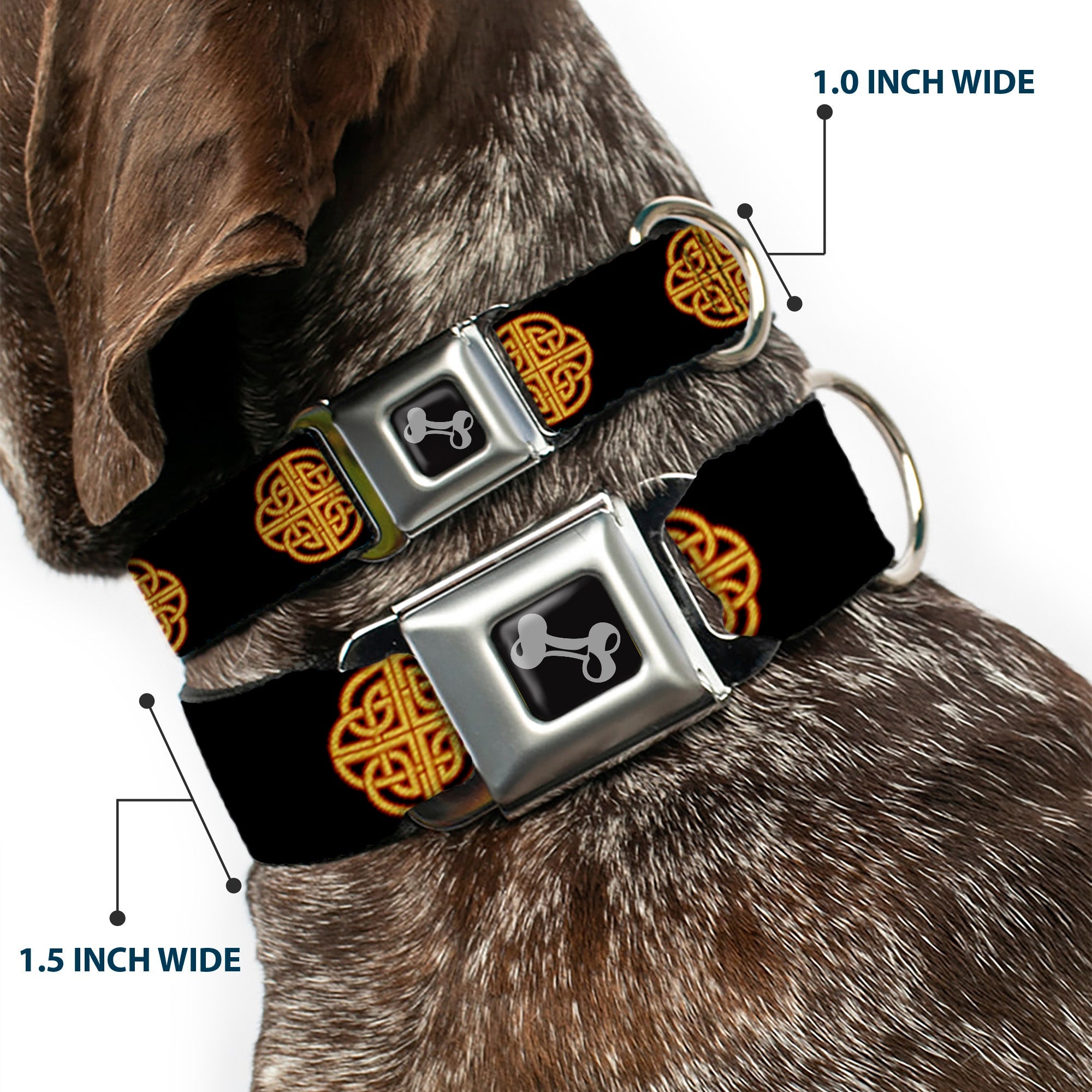 Dog Bone Seatbelt Buckle Collar - Celtic Knot Black/Burgundy/Gold