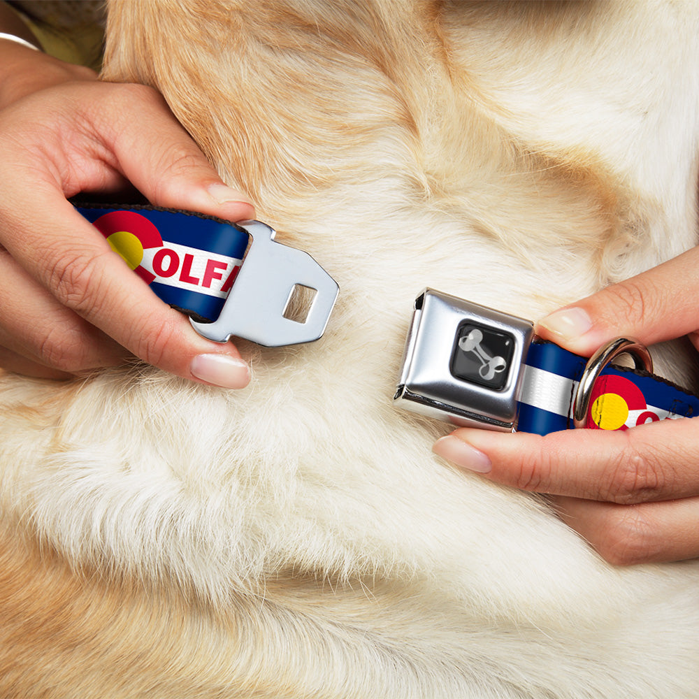 Dog Bone Seatbelt Buckle Collar - Colfax Colorado Flag