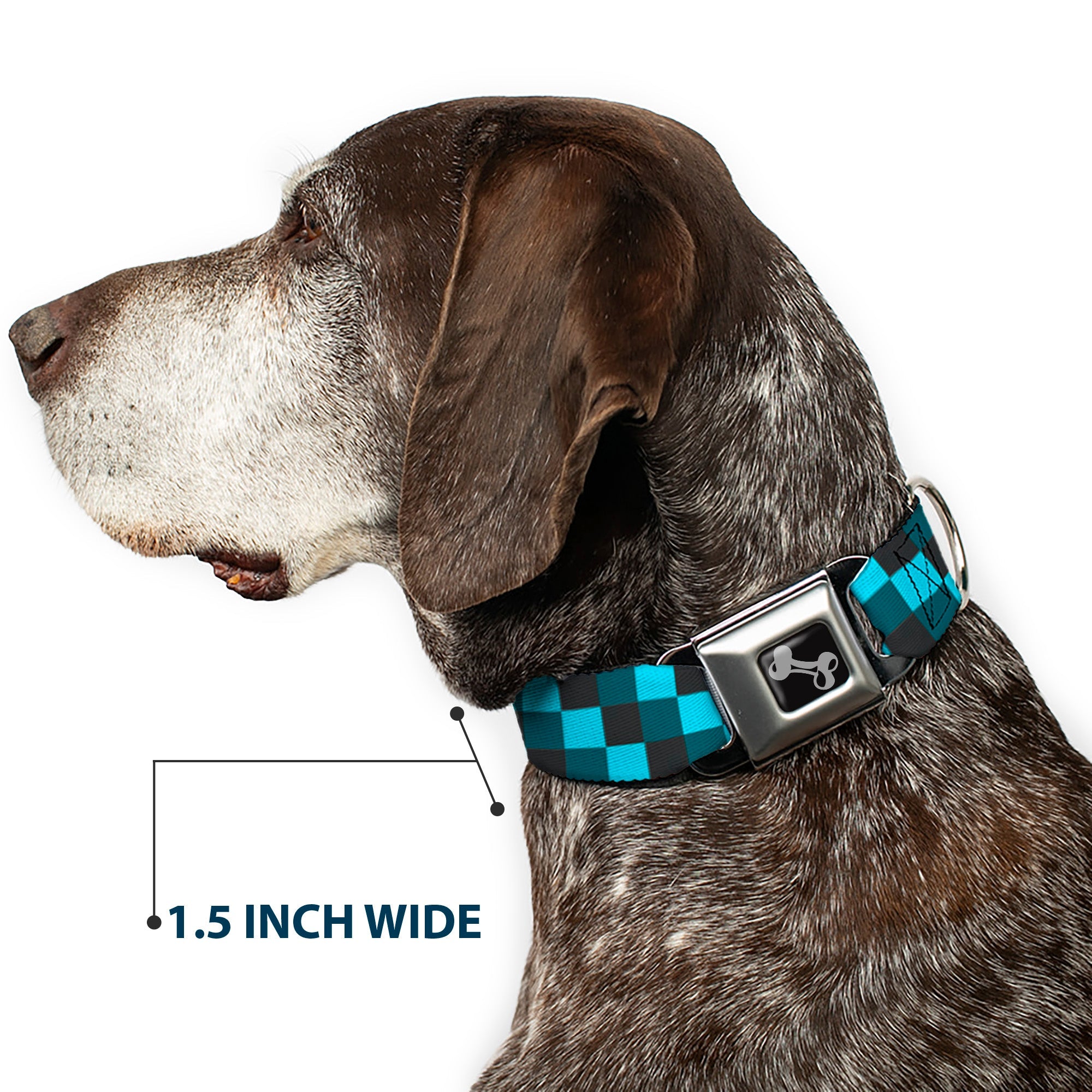Dog Bone Seatbelt Buckle Collar - Checker Trio Baby Blue/Black/Turquoise
