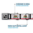 Load image into Gallery viewer, Dog Bone Seatbelt Buckle Collar - California Flag Repeat/Black
