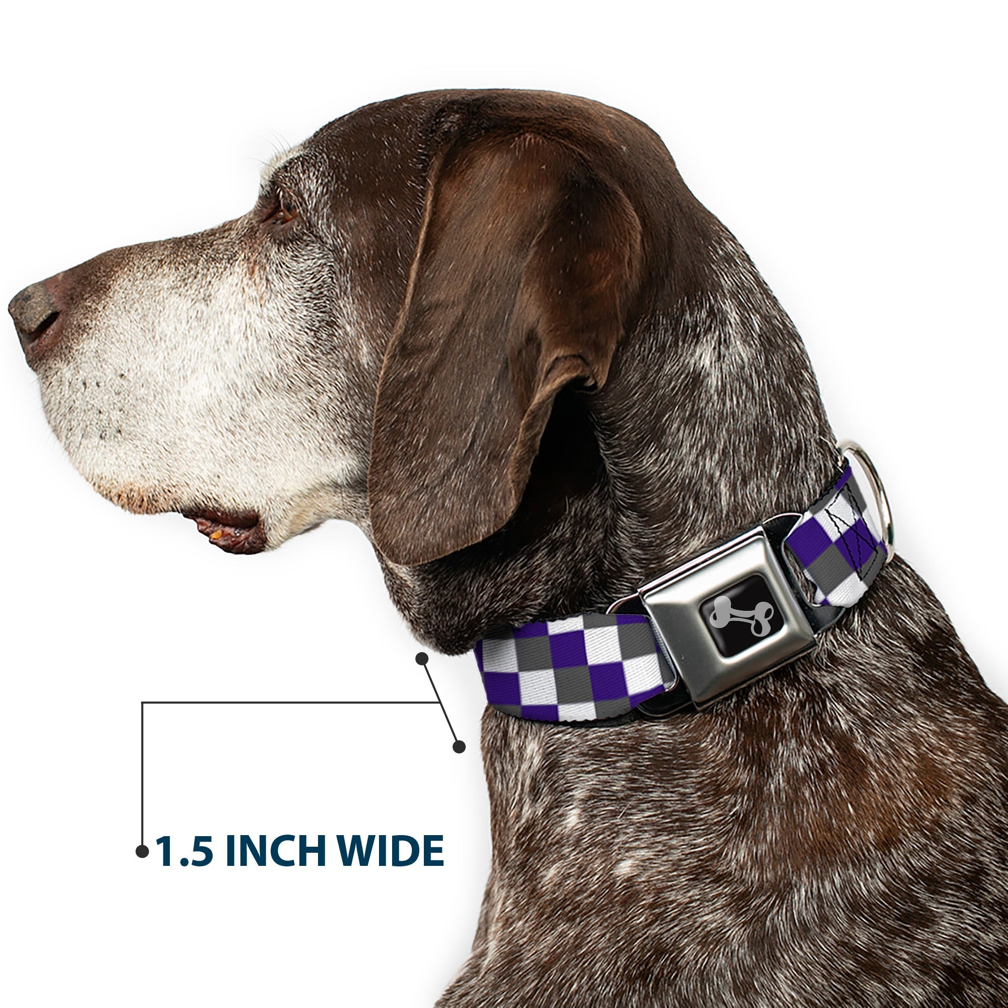 Dog Bone Seatbelt Buckle Collar - Checker Gray/Purple/White