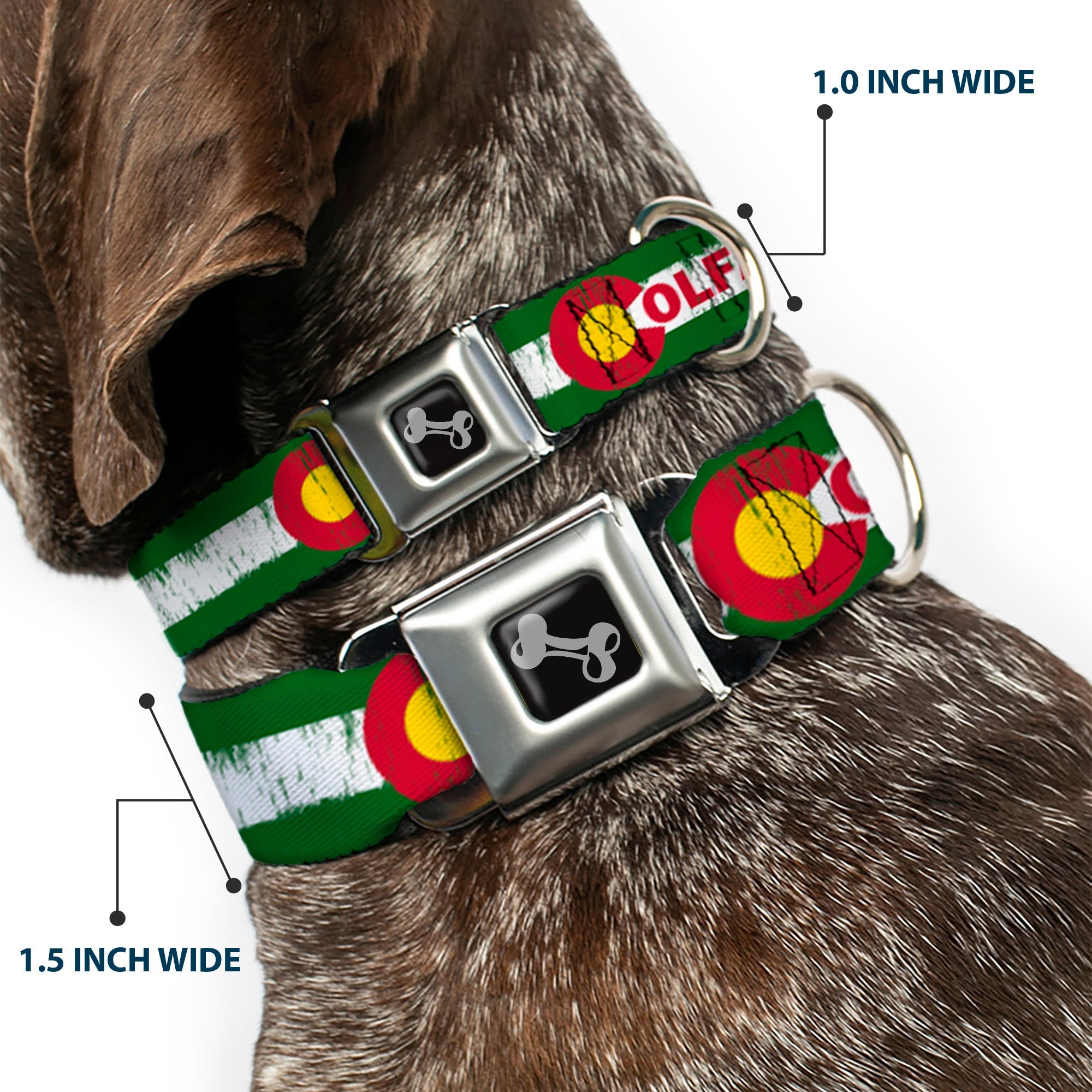 Dog Bone Seatbelt Buckle Collar - COLFAX Green Stripe Weathered