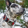 Load image into Gallery viewer, Dog Bone Seatbelt Buckle Collar - Chevron Red/Black/Gray
