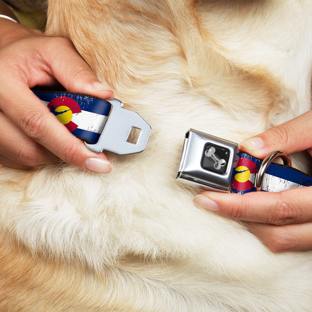 Dog Bone Seatbelt Buckle Collar - Colorado Flag/Fisher Weathered