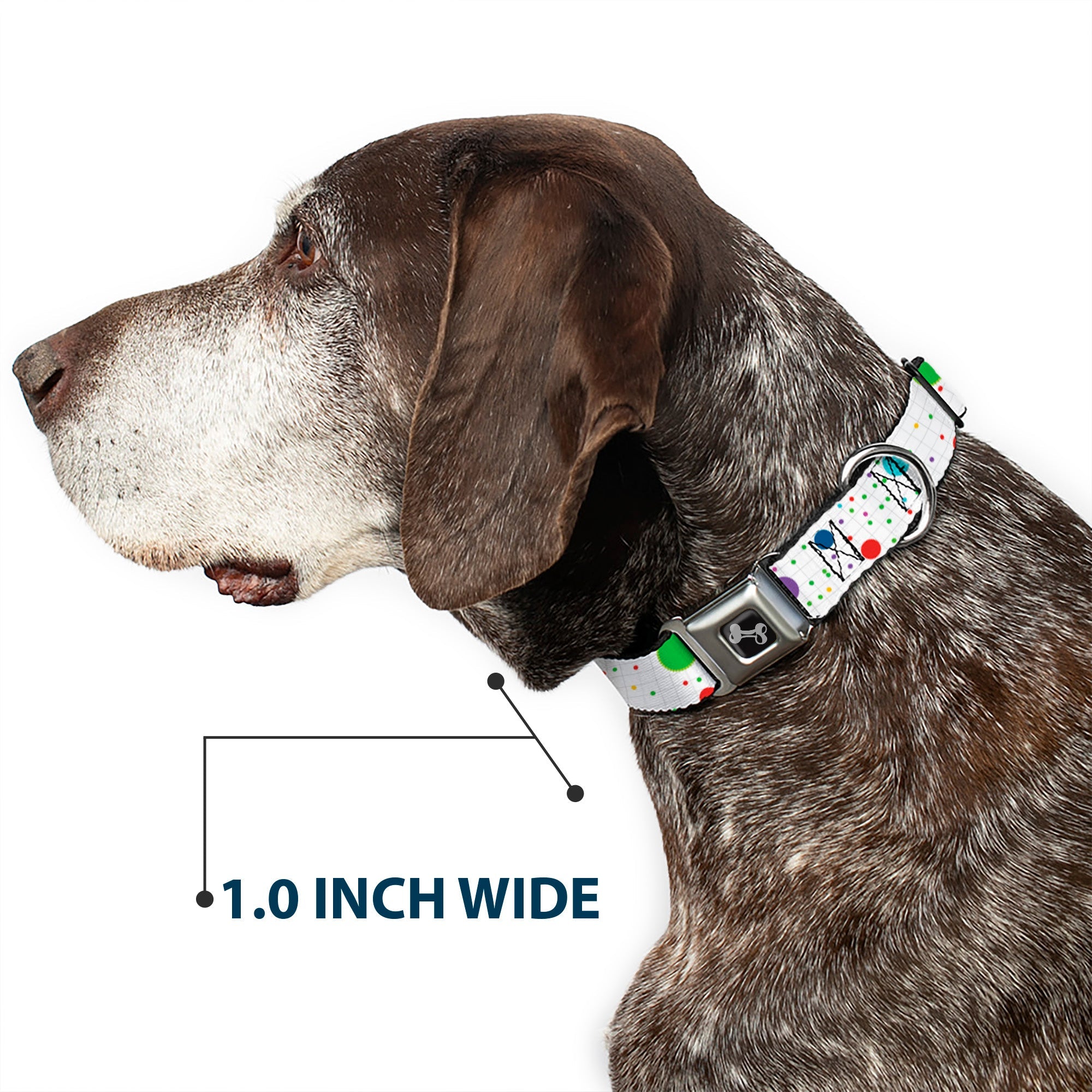 Dog Bone Seatbelt Buckle Collar - Dots/Grid2 White/Gray/Multi Color