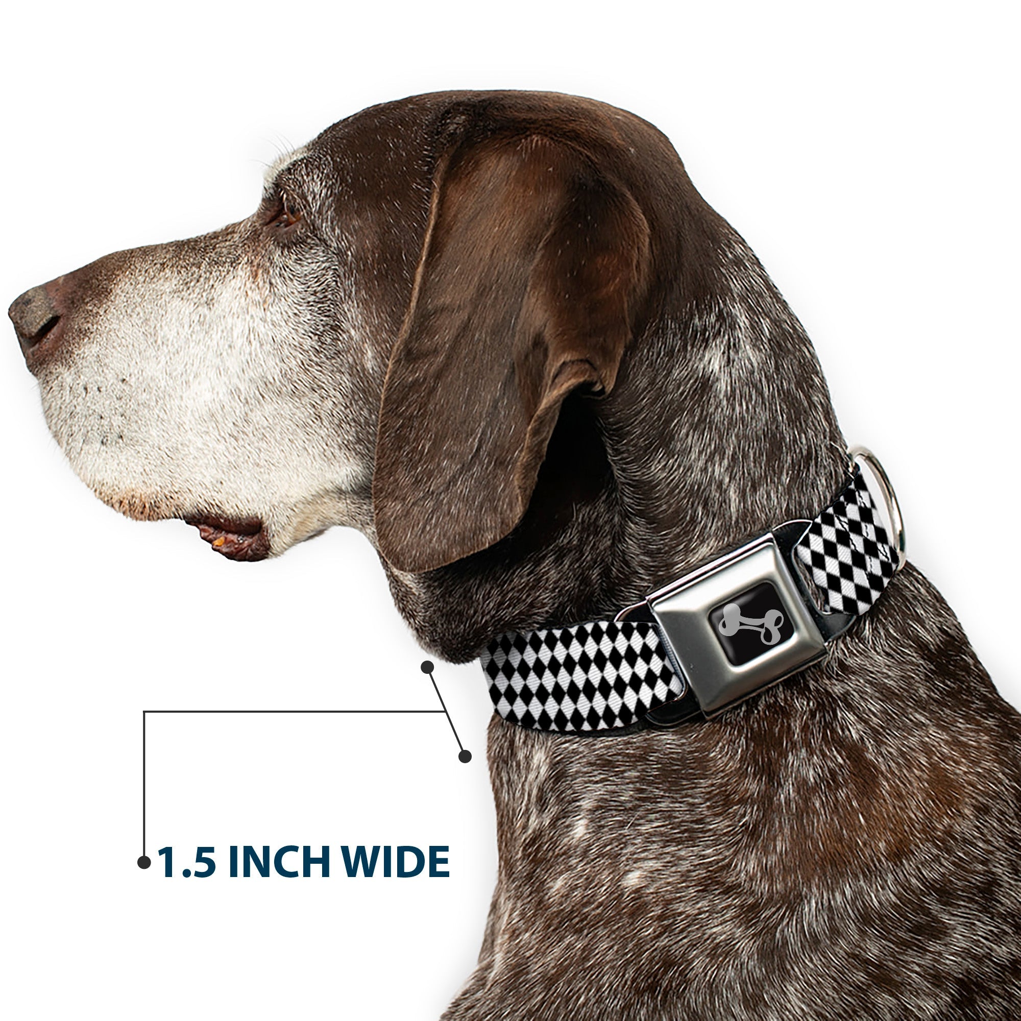 Dog Bone Black/Silver Seatbelt Buckle Collar - Diamonds Stripe White/Black