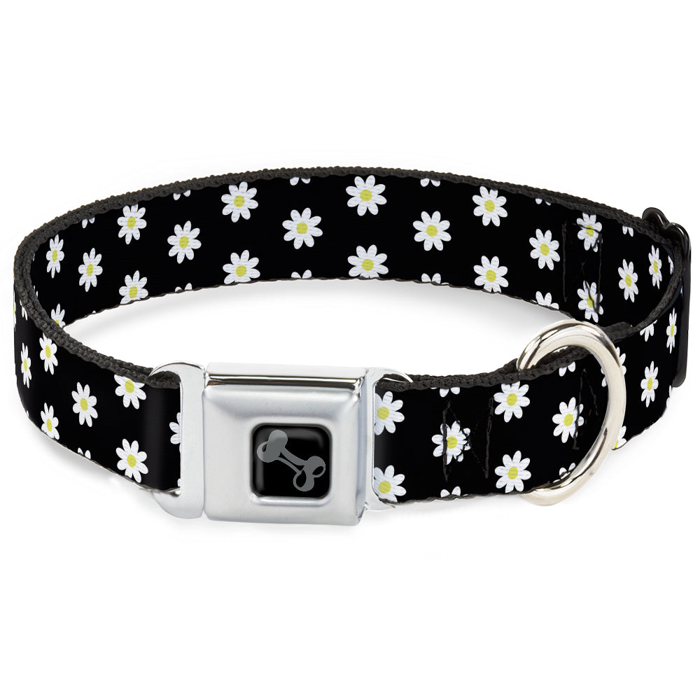 Dog Bone Black/Silver Seatbelt Buckle Collar - Daisies Scattered Black/White/Yellow