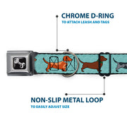 Dog Bone Seatbelt Buckle Collar - Dachshund 4-Dogs/Paws Aquas