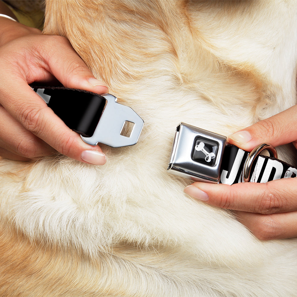 Dog Bone Black/Silver Seatbelt Buckle Collar - DON'T JUDGE ME Black/White