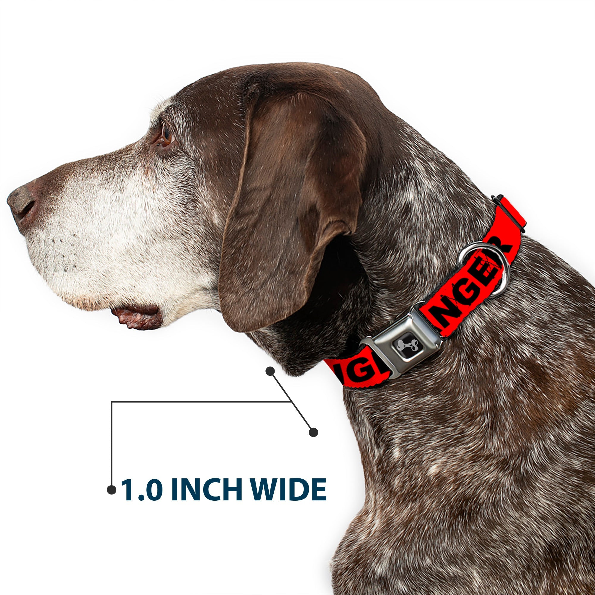 Dog Bone Black/Silver Seatbelt Buckle Collar - DANGER Text Red/Black