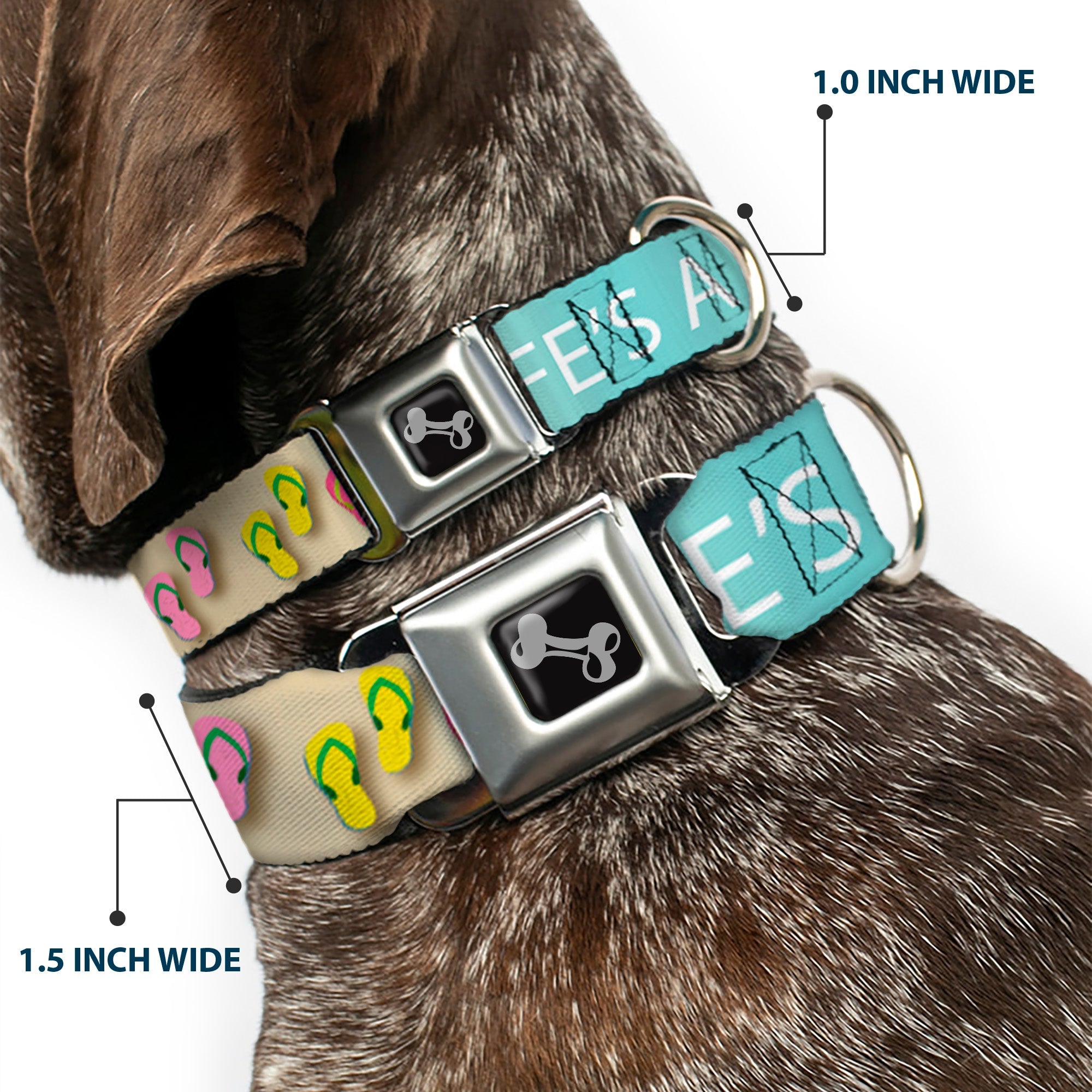 Dog Bone Seatbelt Buckle Collar - Flip Flops7 LIFE'S A BEACH Tan/Aqua/White